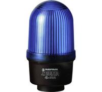 Werma Signaltechnik Segnalatore luminoso 219.500.00 219.500.00 Blu Luce