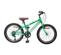 WERNBUPS Mountain bike da 20 pollici con cambio a 6 marce, manubrio e sella regolabili, robusta struttura in acciaio e design classico per viaggi confortevoli in città e in campagna.