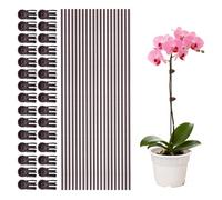 Werownsgs - Set di 10 clip per piante con 15 clip per piante, bastoncini pieghevoli per piante da giardino, per supporto alto e prospero, adatti per la produzione di piante da interno ed esterno