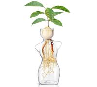 Werwing Vaso per avocado - moderno vaso in vetro per la germinazione dei semi, decorazione per la casa, terrario - contenitore per coltura dell'acqua in borosilicato
