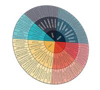 WESIEVYA Adesivi Decorativi per Ruota Emozionale, Adesivi Autoadesivi per Laptop e Custodia Telefono, Supporto per Consapevolezza Emotiva e Benessere Psicologico in Aula Scuola Materna
