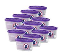 Wessper Deumidificatore per umidità e muffa, Deumidificatori per ambienti con granulato da 400 ml, Neutralizzatore anti odori per cucina armadio, bagno fino a 9 m²- Lavanda - 12 pezzi