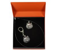West Highland Bianco Terrier - Set - Il Cane IN Der Arance Scatola Art Dog