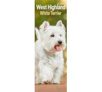 West Highland Terrier Slim 2026 Calendar | Slimline Wall Calendar | Dog Breed Gift | Plastic Free Packaging | by Avonside Publishing