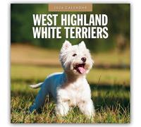 West Highland White Terriers - West Highland White Terrier - Westie 2026 - 16-Monatskalender: Original Red Robin Publishing Ltd-Kalender [Mehrsprachig] [Kalender]