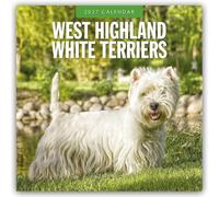 West Highland White Terriers - West Highland White Terrier - Westie 2027 - 16-Monatskalender: Original Red Robin Publishing Ltd-Kalender [Mehrsprachig] [Kalender]