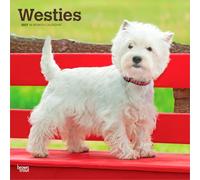 West Highland White Terriers - Westhighland White Terrier - Westies 2027 - 16-Monatskalender: Original BrownTrout-Kalender [Mehrsprachig] [Kalender]