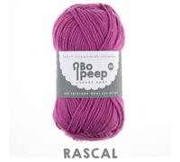 West Yorkshire Spinners BO PEEP Filato Di Lusso Per Bambini DK - Rascal 504