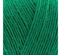 West Yorkshire Spinners Signature 4 Ply 1006 abete rosso