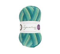 West Yorkshire Spinners Signature 4ply Winwick Mum Collection Seascape 873 - Filato, 100 g