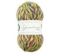 West Yorkshire Spinners West Yorkshire 1170 - Gomitolo di lana a 4 strati, per calze British