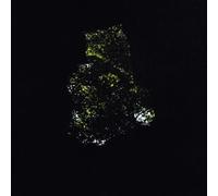 Westbrook, Byron - Precipice