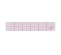 Westcott Righello grafico 8ths, 2,5 x 15,2 cm, trasparente (W-10)