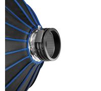 Westcott Switch Insert (Profoto Standard) Anello Speedring