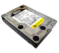 Western Digital 1TB WD RE4 1000GB Seriale ATA II disco rigido interno