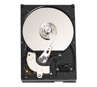 Western Digital 320 GB IDE Hard Disk Drive WD3200JB