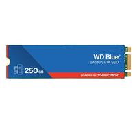 Western Digital Blue SA510 250 GB M.2 Serie ATA III - Nouvo