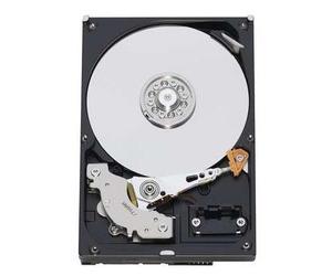 Western Digital Caviar AV 320GB (WD3200AVJS)
