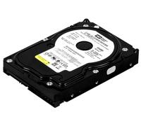 Western Digital WD3200AVVS - Hard disk interno da 320 GB, 8,9 cm (3,5"), 7200 rpm, cache 8 MB, SATA, blu