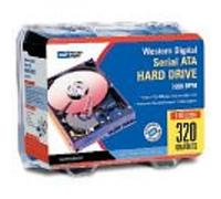 Western Digital-Hard-Disk Drive da 320 GB SATA WD3200JDRTL