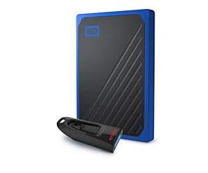 Western Digital My Passport Go - Unità a stato solido da 1 TB con chiavetta USB SanDisk da 64 GB, WDBMCG0010BBT-WEDP