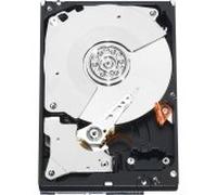 Western Digital RE4 500GB 20PK 500GB Serial ATA II internal hard drive - Internal Hard Drives (3.5", 500 GB, 7200 RPM, Serial ATA II, 64 MB)