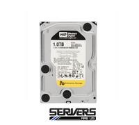 Western Digital RE4 SATA 1TB Interno 7200RPM 3.5 Pollici WD1003FBYX HDD