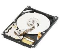 Western Digital Scorpio Blue 320GB, EIDE