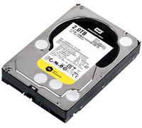 Western Digital WD Re WD2000FYYZ HDD Interna 2TB 7.2K 64MB SATA III 3,5''