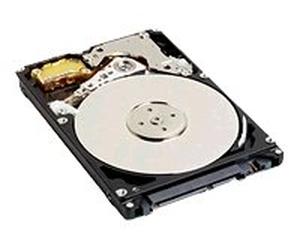 Western Digital WD WD600BEVS - Disco rigido SATA Bulk/OEM da 60 GB, 5400 giri/min, 60 GB