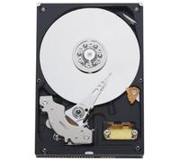 Western Digital WD800BB-KIT - Disco rigido interno 80 GB, 8,9 cm (3,5"), colore: Blu Caviar 7200 rpm, 2 MB PATA