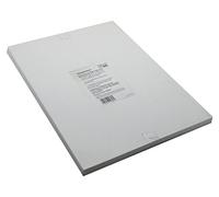 Westfilm Transtext - Pellicola autoadesiva trasparente, formato A3, confezione da 25 fogli