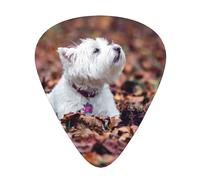Westie Bokeh West Highland White Terrier Cani,12 pezzi di plettri per chitarra, 3 plettri di diverso spessore per chitarra acustica, basso, ukulele