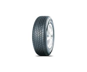Westlake SW 608 SNOWMASTER 195/65 R15 91 H
