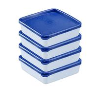 Westmark Set di 4 Contenitori per Congelare Alimenti, Con Coperchio, Capacità: 0,25 Litri Ciascuno, Impilabili, Plastica, Trio, Colore: Trasparente/Blu, 25042270