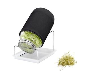 Westmark Set di bicchieri per pioli, 1 pezzo, con coperchio in acciaio inox e scolapiatti - per germogli semi, microverdi e altro ancora - 2000 ml