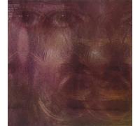 Wet Fist - Show Is the Rainbow (Audio cd)