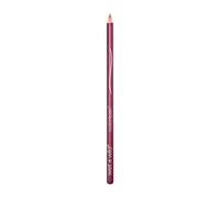 Wet N Wild Lipliner Pencil Coloricon E666 Brandy Wine