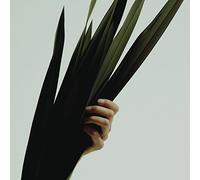 Wet - Weak / Losing All We Knew (2 LP)