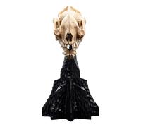 Weta Workshop Mr. der Ringe Mini Statua Skull of a Warg 20 cm