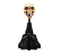 Weta Workshop - Signore degli anelli Mini Statua Skull of a Moria Orc, 13 cm