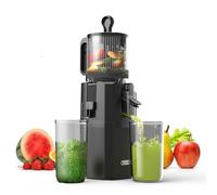 WETIE Estrattore Lento Frutta e Verdura, Estrattore di Succo a Freddo con Apertura Extra Large 120mm, 99% Resa, Facile da Smontare e Pulire, BPA Free, Include 2 Bicchieri e Ricettario