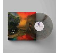 Sharon Van Etten We've Been Going About This All Wrong (Vinyl LP)