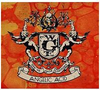 We'Ve Got Enemies - Angelic Acid