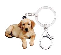 WEVENI Acrilico Labrador Portachiavi Cane Animali Nuovi Gioielli Per Donna Ragazze Borsa Borsa Portachiavi Auto (Marrone)