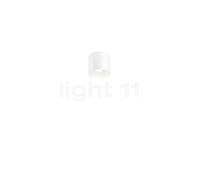 Wever & Ducré Ray 1.0 Lampada da soffitto/plafoniera LED, bianco opaco - 2.700 K - dali