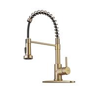 WEWE Rubinetto da cucina in oro spazzolato con spruzzatore estraibile, rubinetto da cucina in ottone RV Rubinetto da cucina in acciaio inossidabile Rubinetto a molla singola con piastra di coperta per