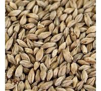 Weyermann 1 kg Münchner Malz 1 per Birra Scura EBC 12-17
