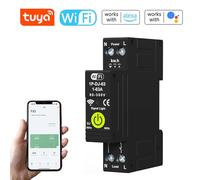 Weytoll Interruttore intelligente WiFi, controllo del tempo ON/OFF, contatore di energia bidirezionale fotovoltaico con funzione di misurazione e prepagata