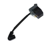 WeZcHEN Bobina di accensione Adatta for BC530 BC550 BCF530 8750 8753 DS5300 DS5500 4196142r 61110153ar